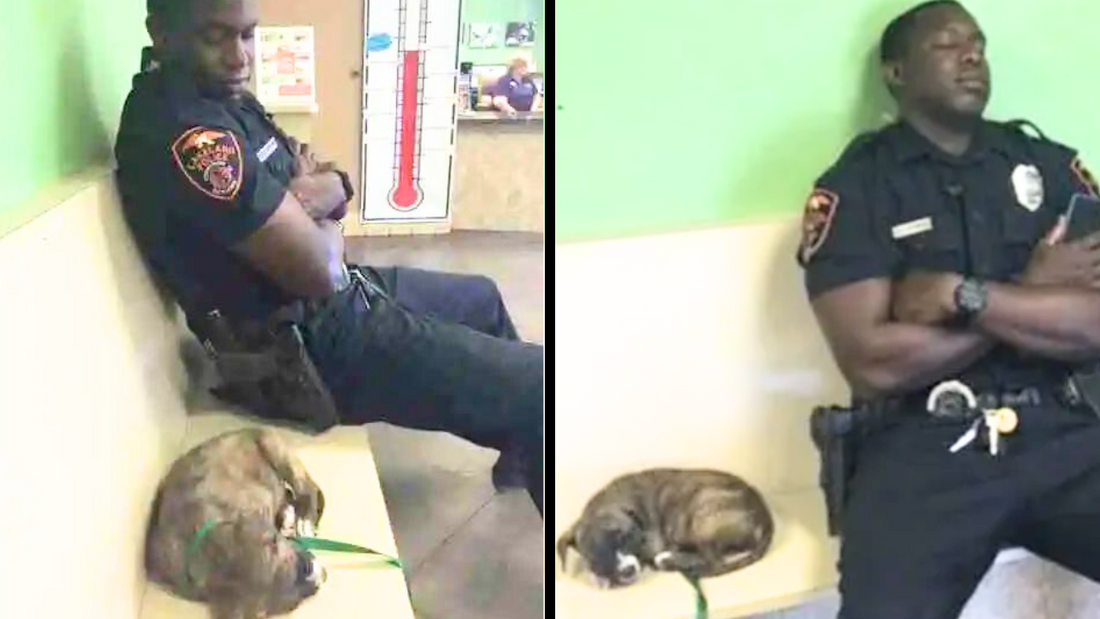 Tired Officer Becomes Hero After Photo With Abandoned Puppy