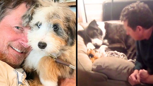 Michael J. Fox introduces new ‘best friend’ to the world after losing his dog