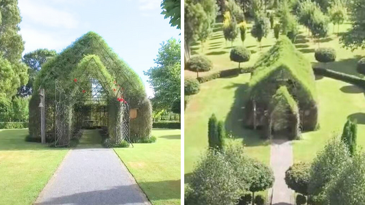 Man spends years of his life creating a majestic church out of living trees