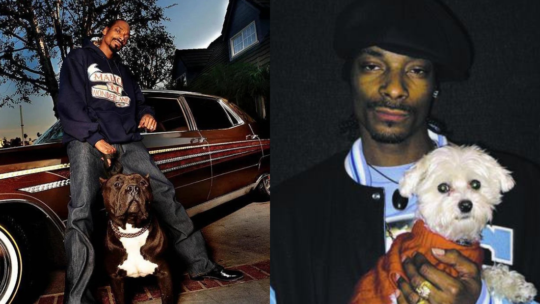 Snoop Dogg’s Real Best Friends? His Dogs, Of Course!
