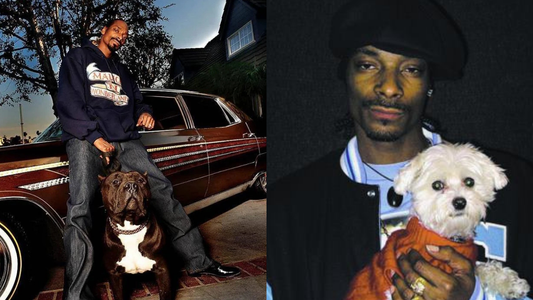 Snoop Dogg’s Real Best Friends? His Dogs, Of Course!